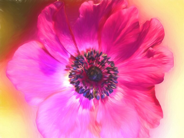 blume
