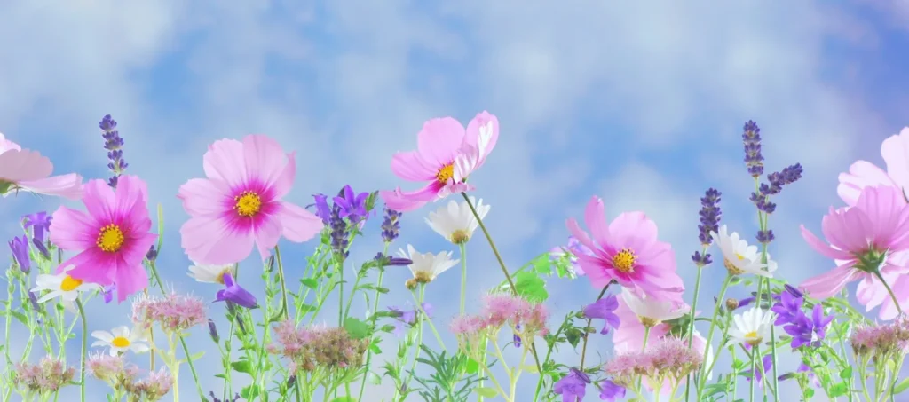 Blumen